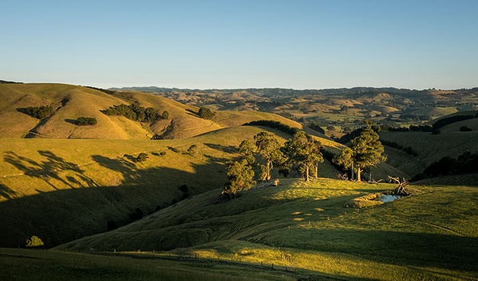 Image of grassy hills